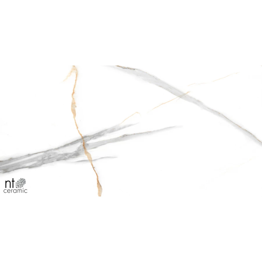 Керамогранит NT Ceramic Marmo Maritaca Statuario Ultra White Полированный NTT99513M 120х60 см