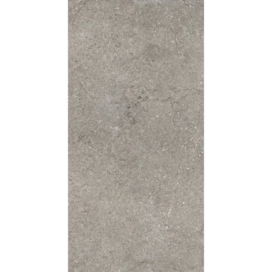 Керамогранит Italon Discover Грэй Рет 610010002728 120х60 см