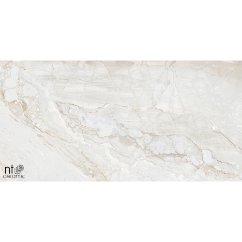 Керамогранит NT Ceramic Gravel White Полированный NTT99508P 120х60 см