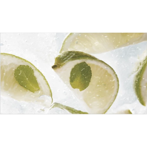 Декор Ceradim Dec Mojito 1 25х45