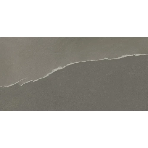 Керамогранит ProGRES Memphis матовый серый PRO 0246M 120х60 см