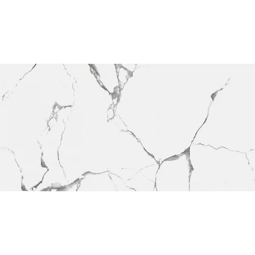 Керамогранит Royce Evon Statuario Matt 1,44 м2 R_NR2003 120х60 см