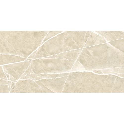 Керамогранит NT Ceramic Granite Wisdom Stone Punch Carving матовый бежевый NTT99619PC 120х60 см