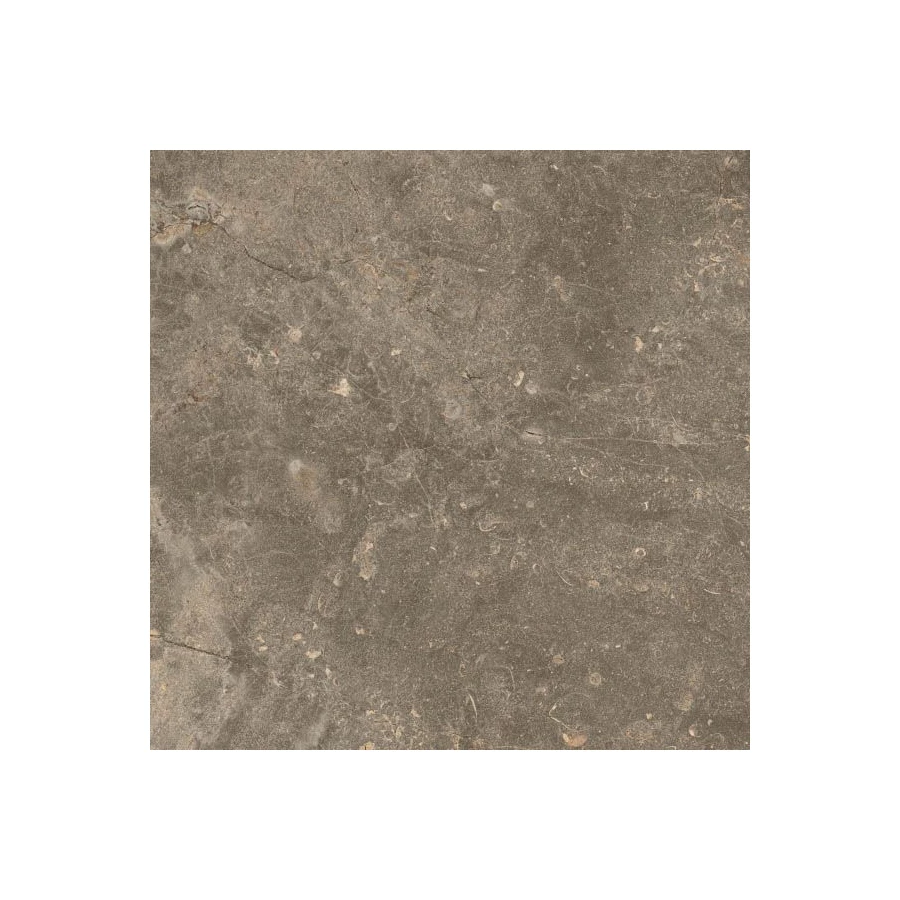 Керамогранит Coliseumgres Cervinia Terra Червиния Земля 610010001441 45х45 см