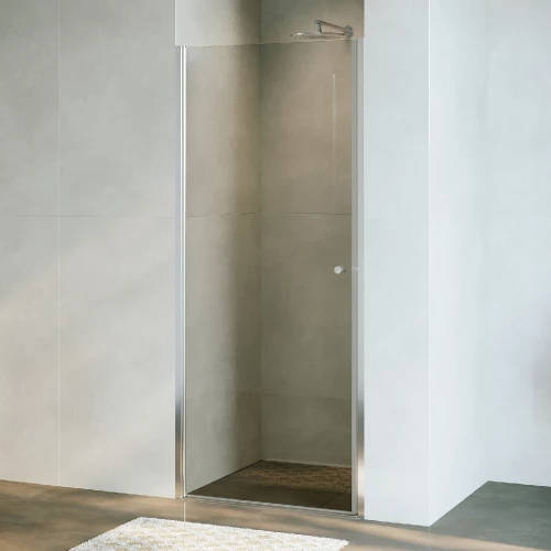 Душевая дверь RGW Dolphin TN-03 Прозрачное 700 54930307-11