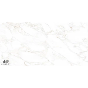 Керамогранит NT Ceramic Marmo Marble Extra Endless Матовый NTT99526M 120х60 см