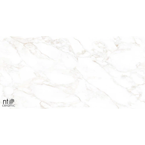 Керамогранит NT Ceramic Marmo Marble Extra Endless Матовый NTT99526M 120х60 см