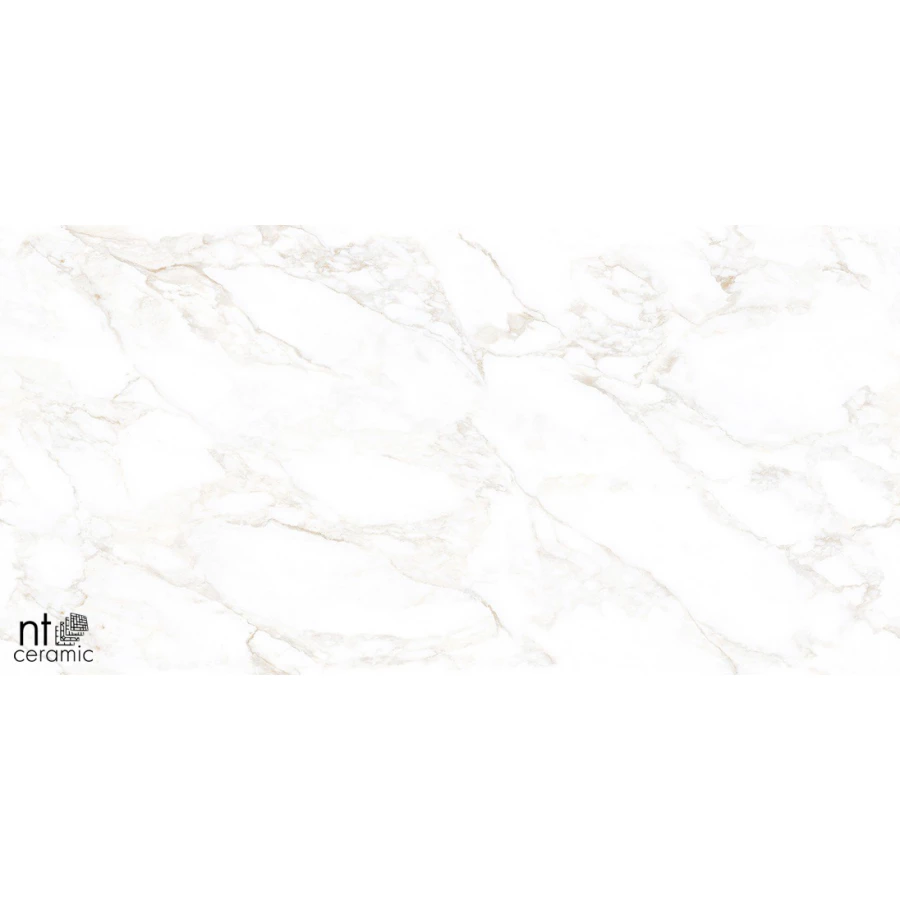 Керамогранит NT Ceramic Marmo Marble Extra Endless Матовый NTT99526M 120х60 см