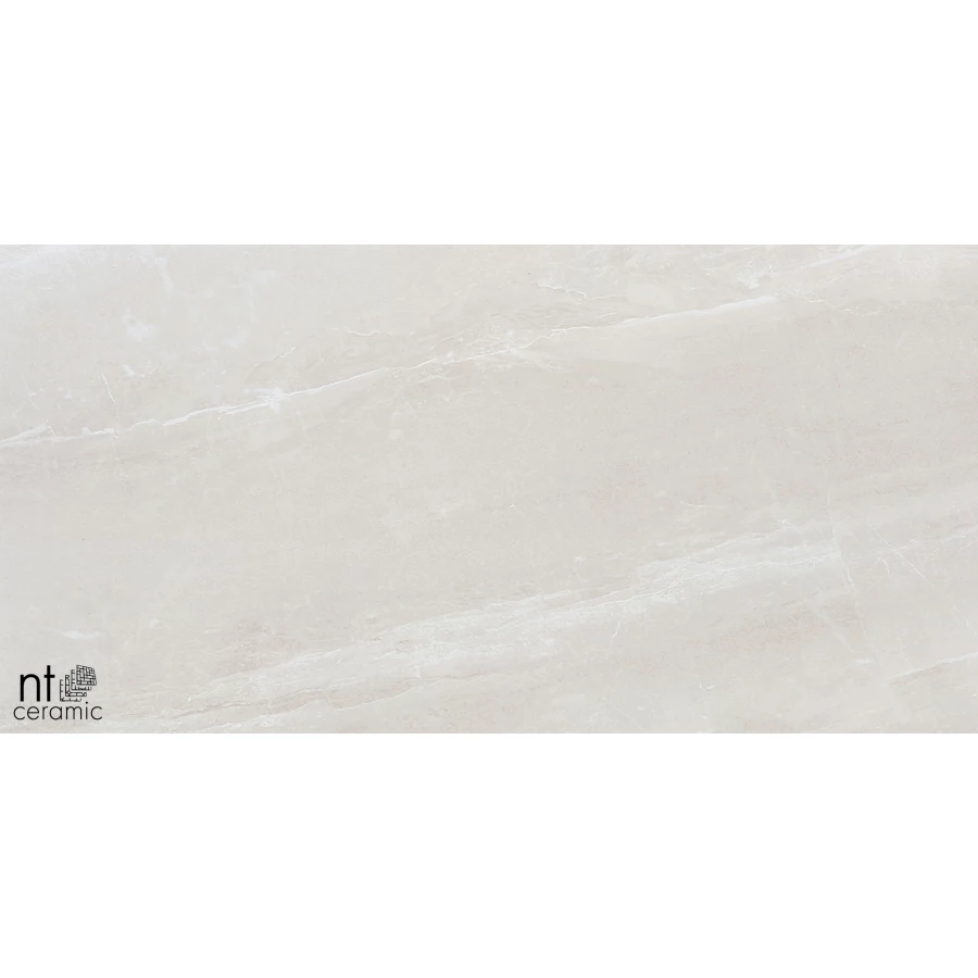 Керамогранит NT Ceramic Zeus NTT9702 Матовый ZS612NTT9702M 120х60 см