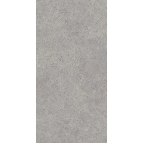 Керамогранит Kerama Marazzi Про Лаймстоун АТ матовый серый DD590600R 238,5х119,5 см