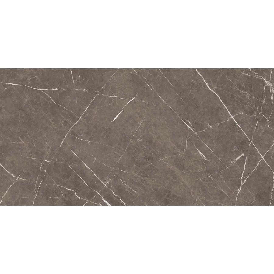 Керамогранит Ocean Ceramic Iran Apana Brown матовый IRN000003 120х60 см