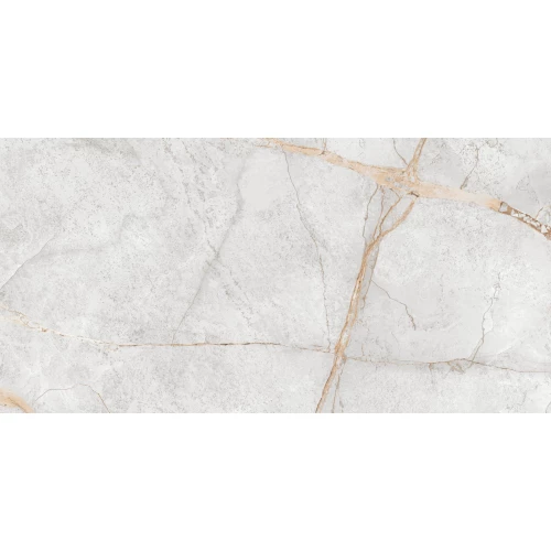 Керамогранит LCM Special Marmo Gray полированный серый 60120PEC15P 120х60 см