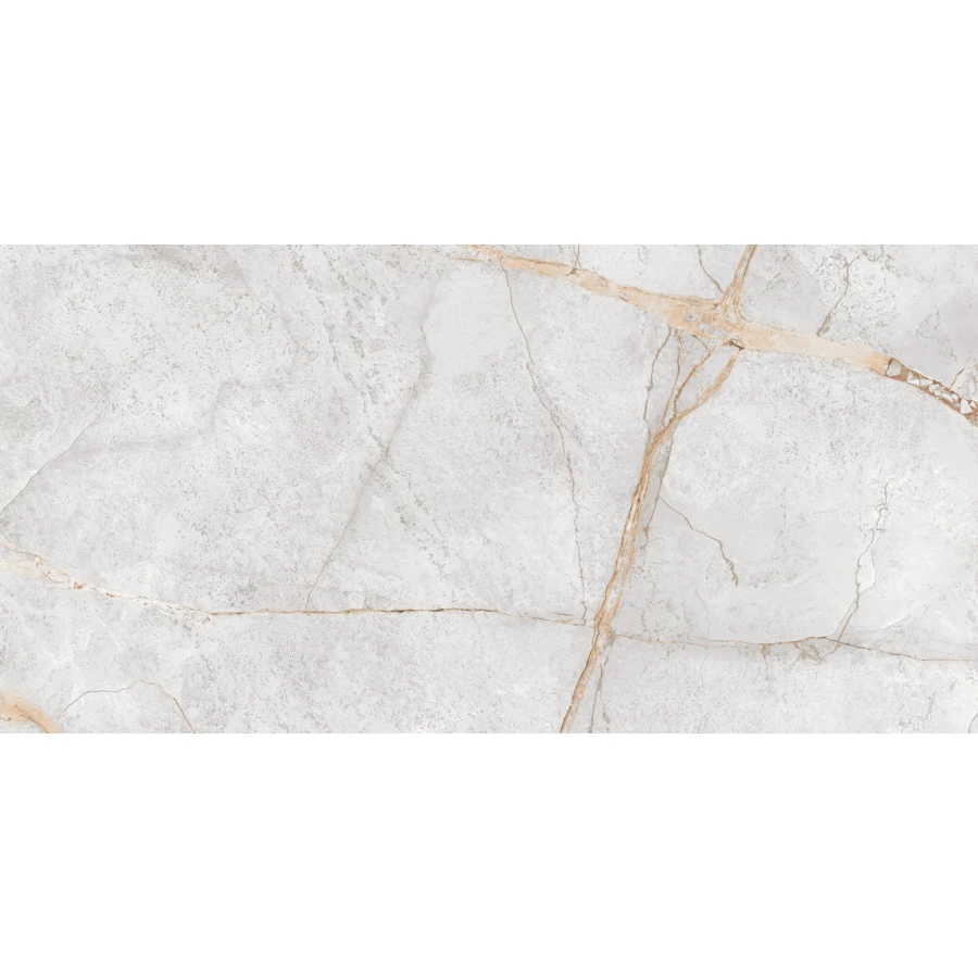 Керамогранит LCM Special Marmo Gray полированный серый 60120PEC15P 120х60 см