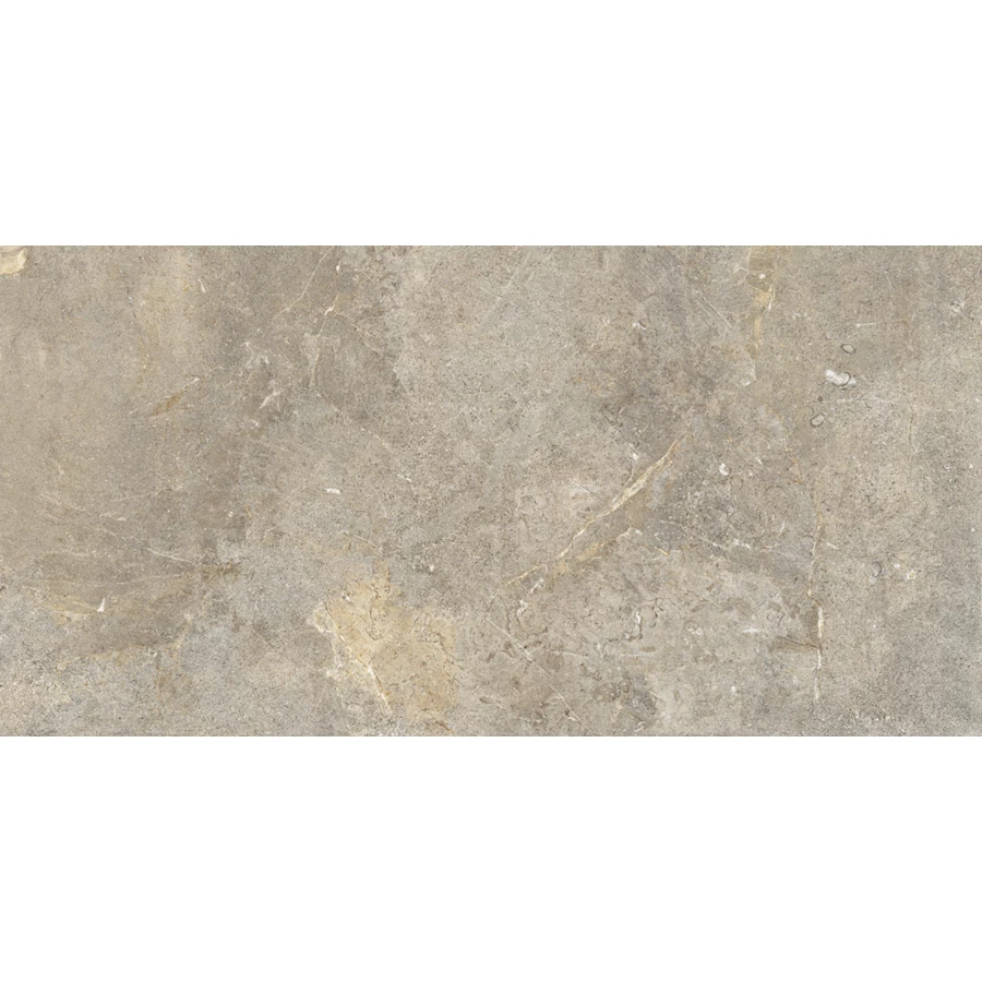 Керамогранит Cercom Everstone Everbrown Ret матовый коричневый 10893241 120х60 см