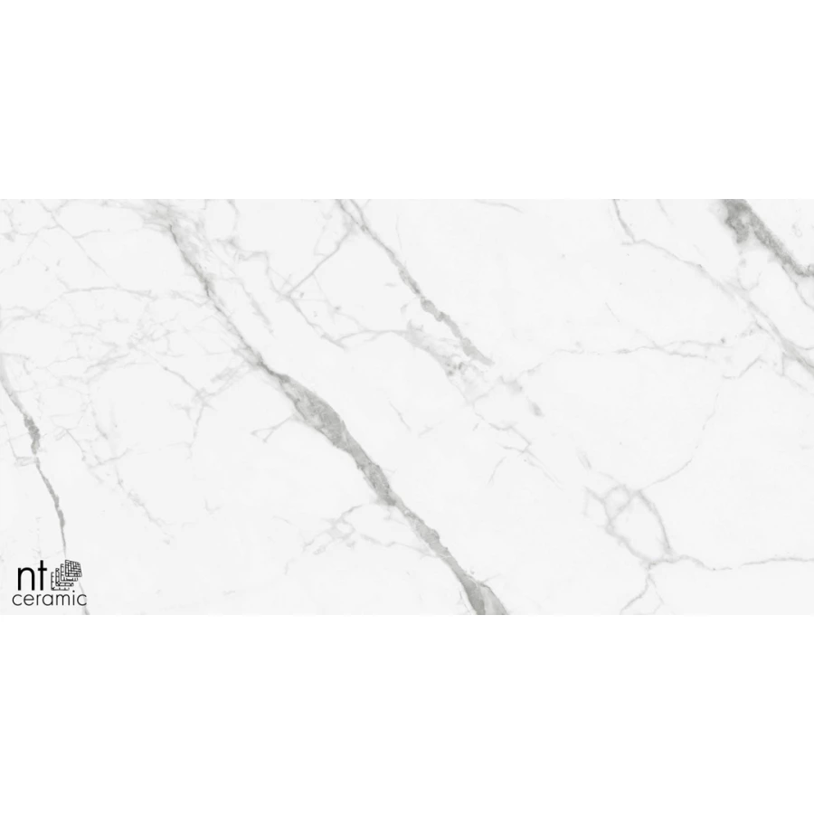 Керамогранит NT Ceramic Bright and Shiny NTT9100 Полированный BB612NTT9100P 120х60 см