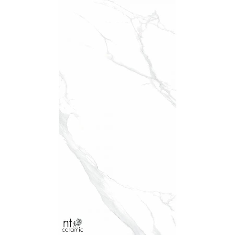 Керамогранит NT Ceramic Bright and Shiny Statuario Полированный NTT9106P 120х60 см