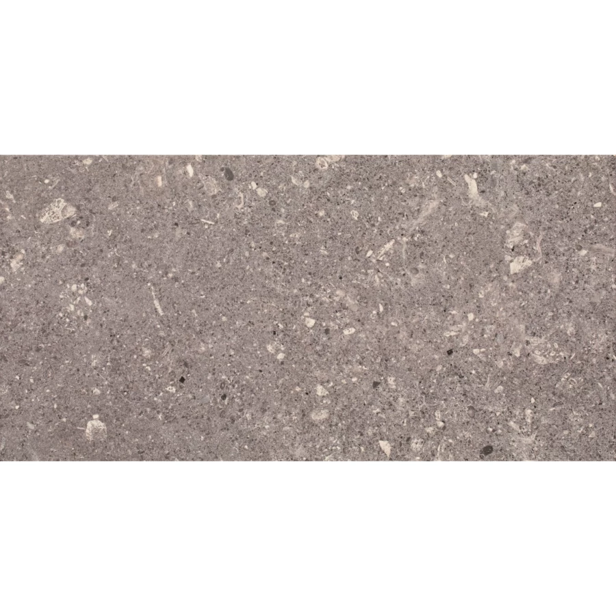 Плитка настенная Paradyz Aragorn Grys 60х30 см