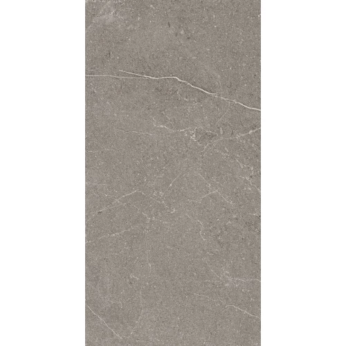 Керамогранит Arcadia Ceramica Equistone Graphite матовый серый RG6002-A 120х60 см