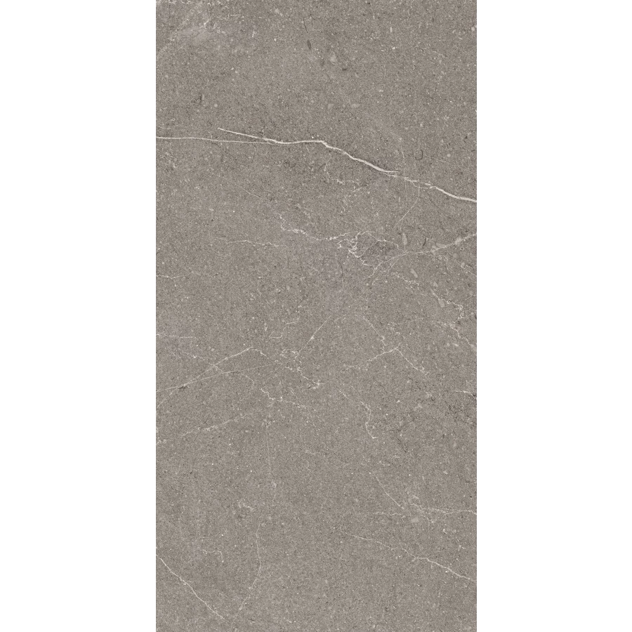 Керамогранит Arcadia Ceramica Equistone Graphite матовый серый RG6002-A 120х60 см