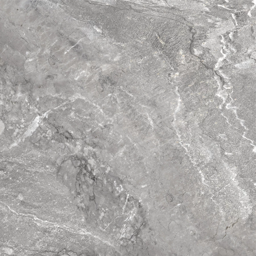 Керамогранит Delacora Wild Dark матовый серый D60260M 60х60 см