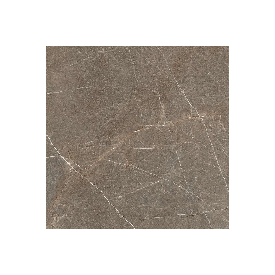 Керамогранит Idalgo Граните София велюр LLR ID9061E079LLR 60х60 см