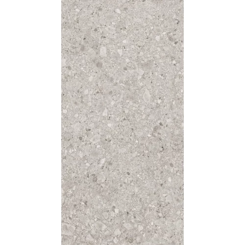 Керамогранит Lasselsberger Ceramics Иней матовый серый 6493-0136 120х60 см