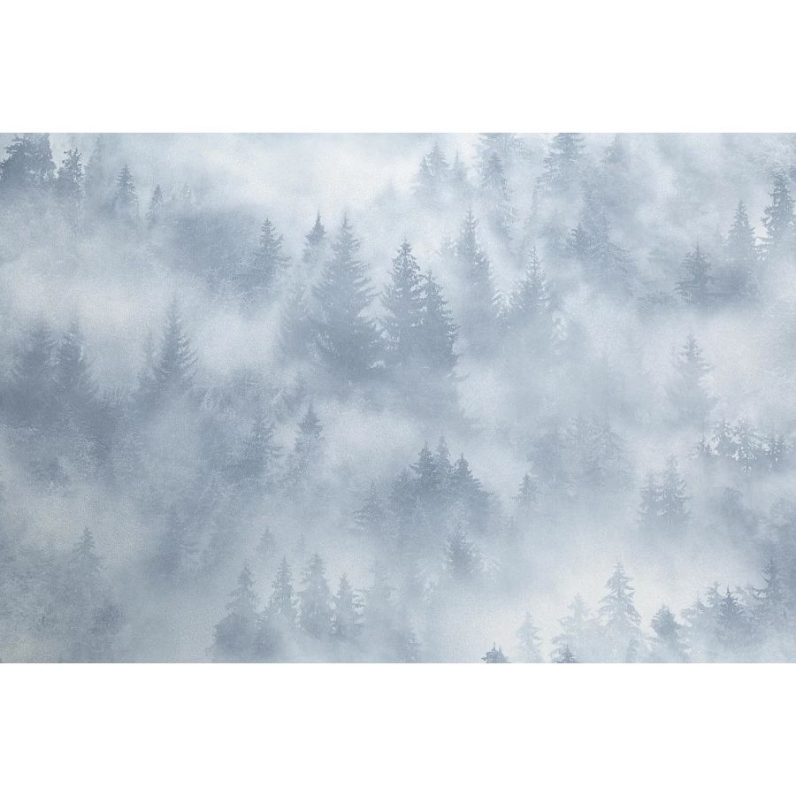 Обои флизелиновые Palitra Home HomeColor My Forest серые HC71960-46 1,06х10,05 м