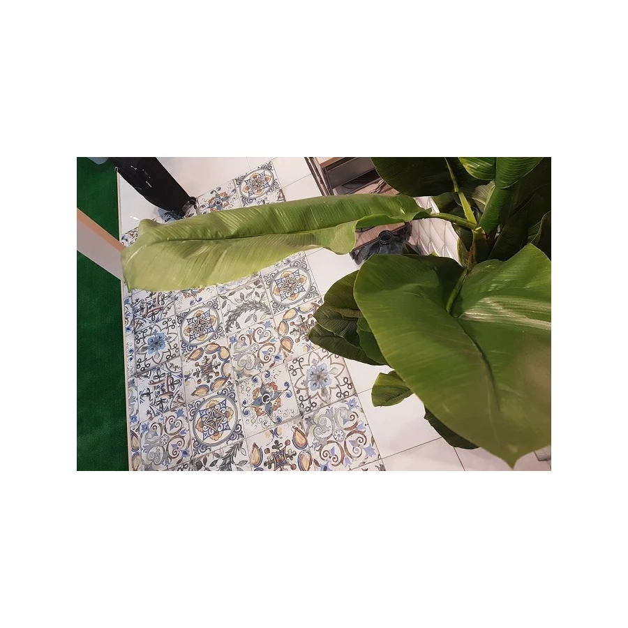 Керамогранит Goetan Ceramica Colonial Decor матовая многоцветная 33,3x33,3 см