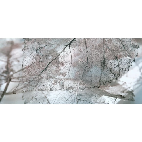 Декор InterCerama Magia серый 50*23 см