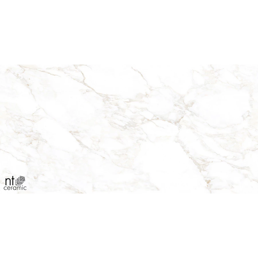 Керамогранит NT Ceramic Marmo Marble Extra Endless Матовый NTT99526M 120х60 см