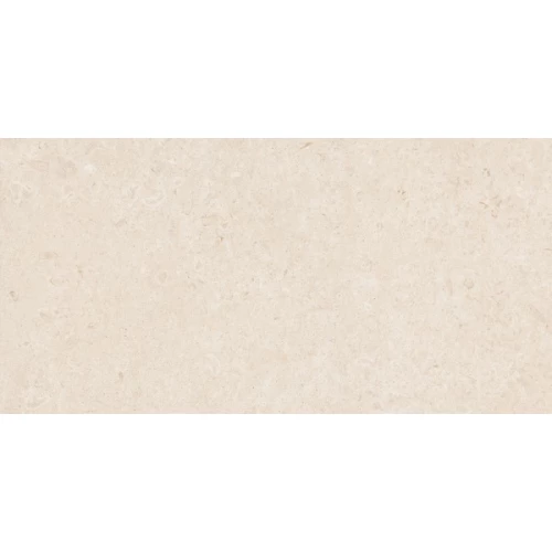Керамогранит Ragno Marazzi Eterna Blanco rett R8JK 120х60 см