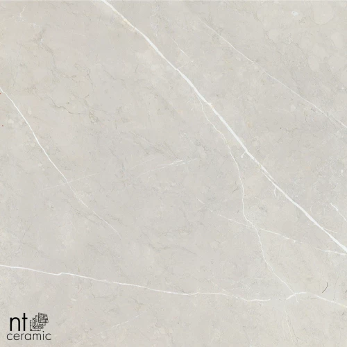 Керамогранит NT Ceramic Bright and Shiny NTT9101 Полированный BB6NTT9101P 60х60 см