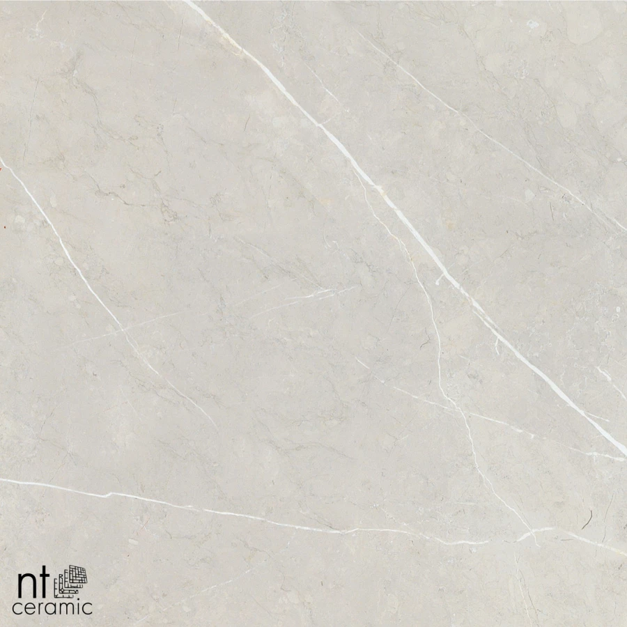 Керамогранит NT Ceramic Bright and Shiny NTT9101 Полированный BB6NTT9101P 60х60 см