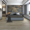 Quercus