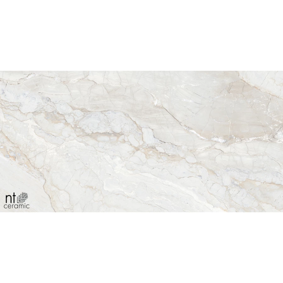 Керамогранит NT Ceramic Gravel White Полированный NTT99508P 120х60 см