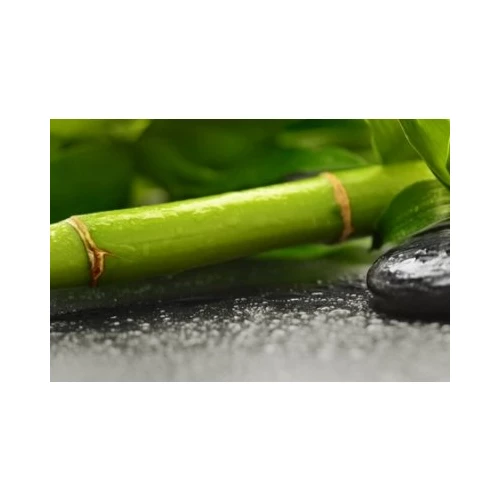 Декор Golden Tile Релакс 49432 зеленый 25х40 