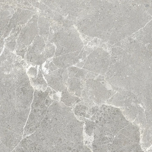 Керамогранит ProGRES Garcia матовый серый NR0388 60х60 см