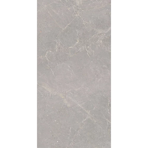 Керамогранит Peronda Alchemy Floor Alchemy Iron AS C R серо-бежевый 3350937736 120х60 см