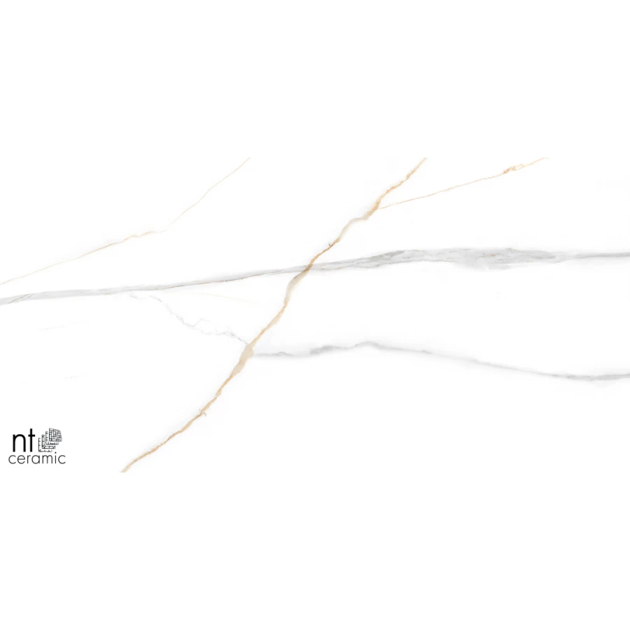 Керамогранит NT Ceramic Marmo Maritaca Statuario Ultra White Полированный NTT99513M 120х60 см