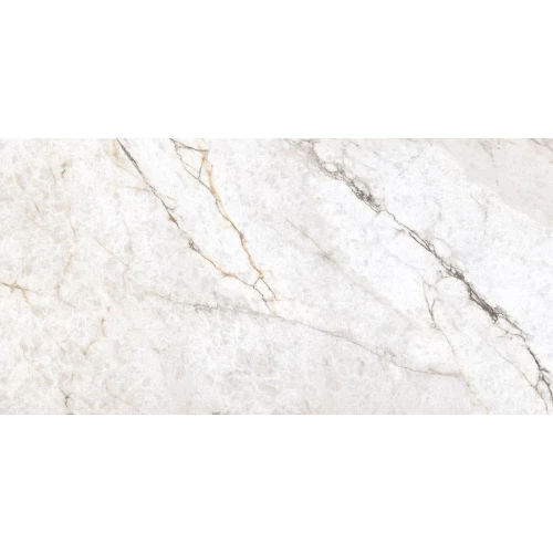 Керамогранит Ocean Ceramic India India 60Х120 Rociado OC0000147 120х60 см