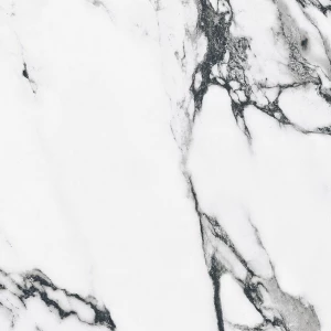 Керамогранит Primavera Fantasy Black polished PR127 60х60 см