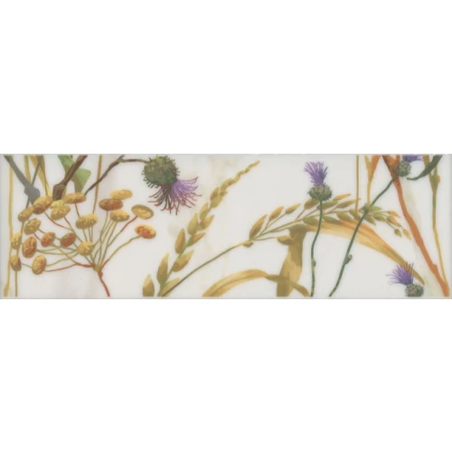 Бордюр Kerama Marazzi Астория Птицы белый SST\A04\12105R 25х8 см