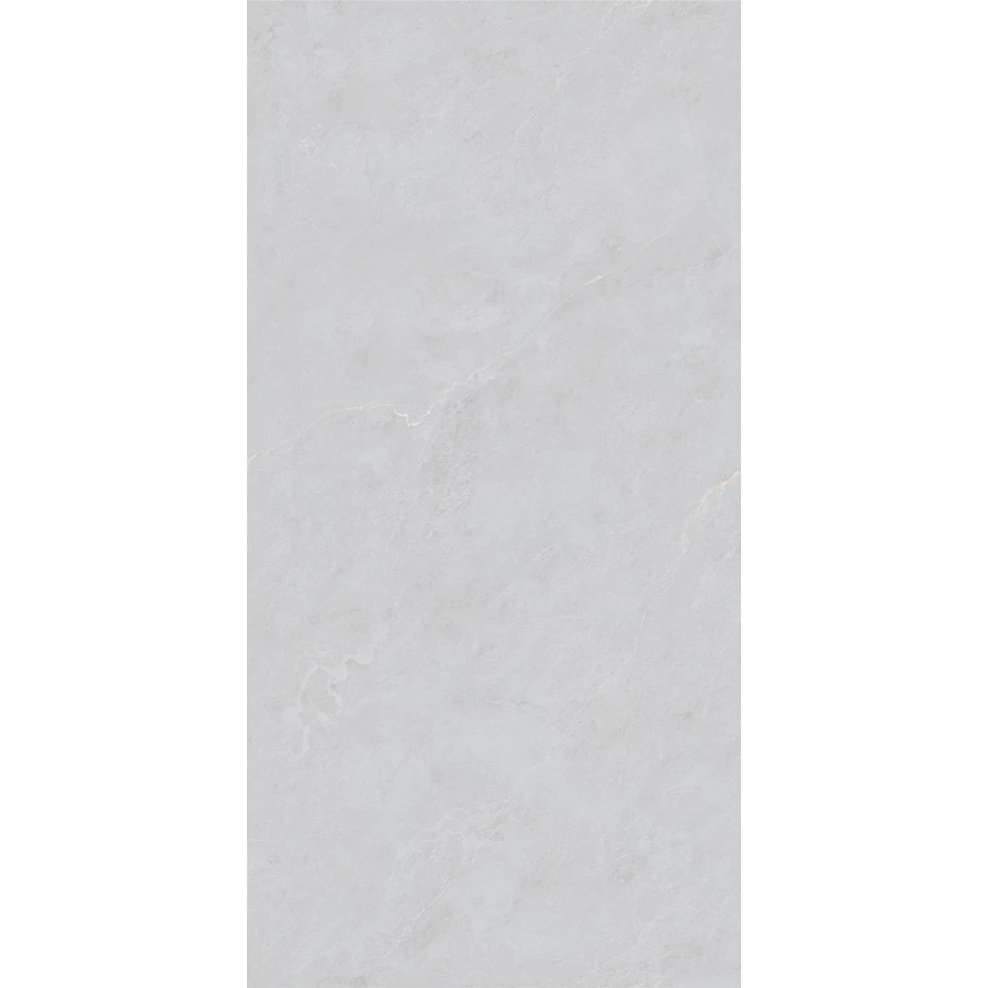 Керамогранит Basconi Home Cateye Light Grey grains soft-polished mould BHW-0023 120х60 см