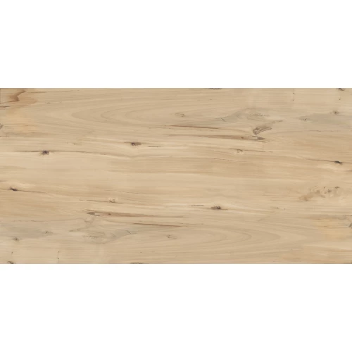 Керамогранит Buono Forest Sweet Home Matt матовый коричневый FVL4511M 120х60 см