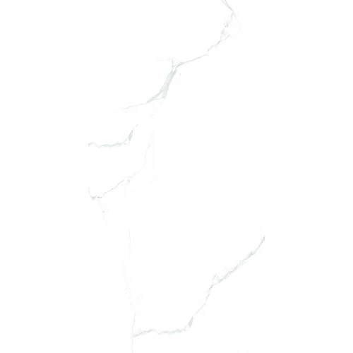 Керамогранит Maimoon Ceramica Maimoon Silver satuario 120х60 см