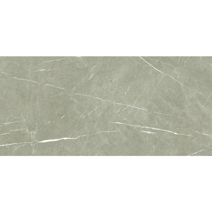 Керамогранит Baldocer Eternal Taupe Pulido 120x60 см