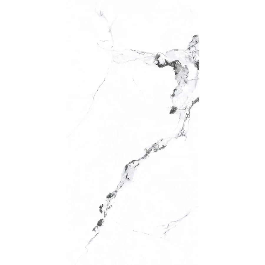 Керамогранит Primavera Videl Bianco polished 1,44 м2 48,96 м2 PR222 120х60 см