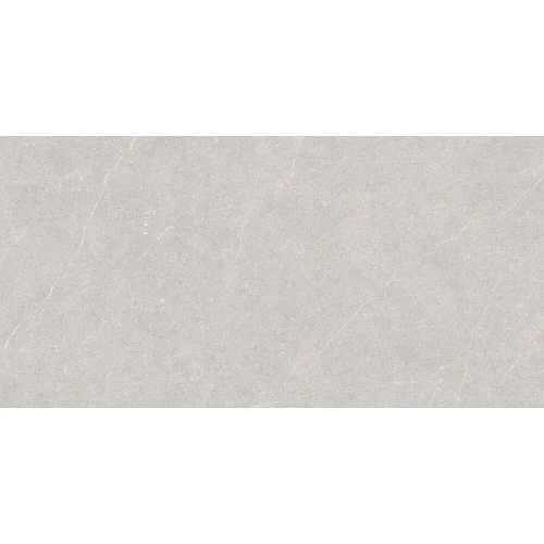 Керамогранит Duna Elenta Ash Carving светло-серый RP-238578 120х60 см