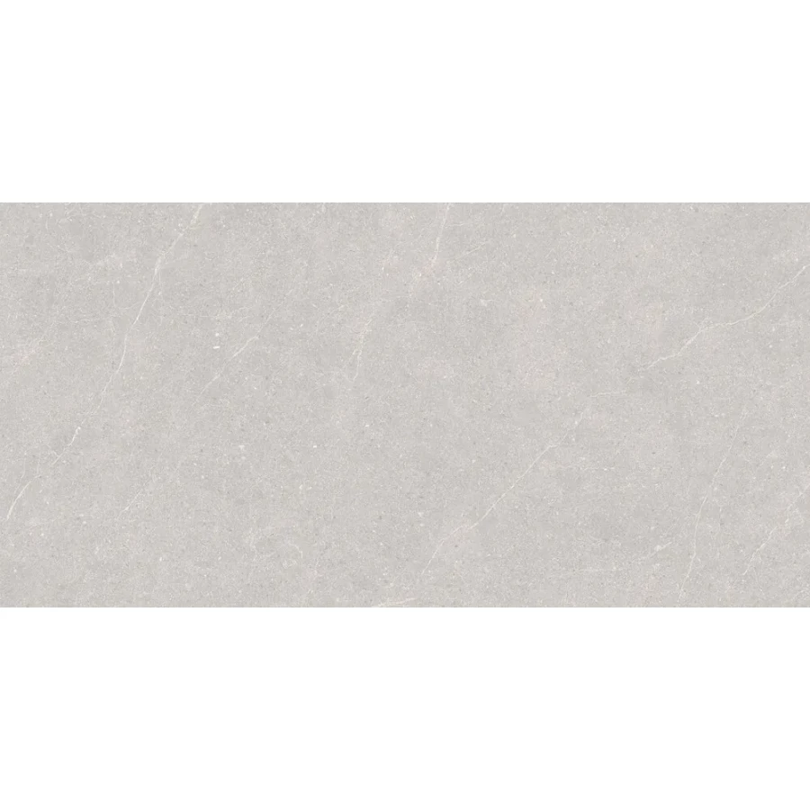 Керамогранит Duna Elenta Ash Carving светло-серый RP-238578 120х60 см