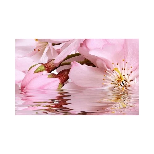 Декоративный массив Belleza Букет 07-00-5-09-01-41-664 розовый 25х40 см